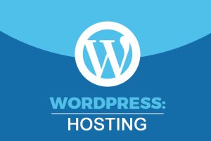 WordPress Hosting là dịch vụ hosting được tối ưu dành cho người sử dụng WordPress