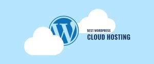 Người mới bắt đầu dùng WordPress nên chọn gói shared hosting hoặc WordPress hosting