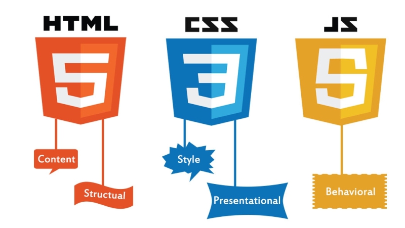 HTML là gì? Tổng quan về HTML và kiến thức về HTML người làm kinh doanh ...